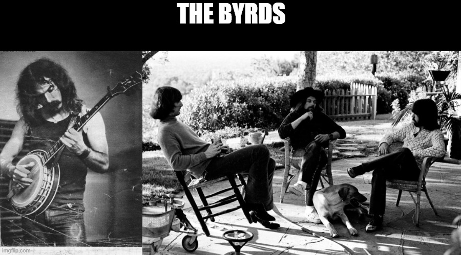 The BYRDS | THE BYRDS | image tagged in music meme | made w/ Imgflip meme maker