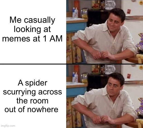 Help me, I haven’t found it yet | Me casually looking at memes at 1 AM; A spider scurrying across the room out of nowhere | image tagged in surprised joey,help me | made w/ Imgflip meme maker