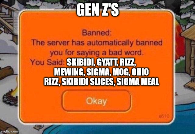 That would be nice | GEN Z'S; SKIBIDI, GYATT, RIZZ, MEWING, SIGMA, MOG, OHIO RIZZ, SKIBIDI SLICES, SIGMA MEAL | image tagged in the server has automatically banned you for saying a bad word | made w/ Imgflip meme maker