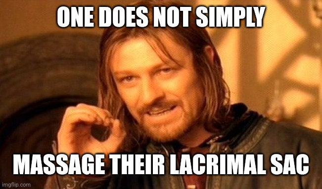 One Does Not Simply Meme | ONE DOES NOT SIMPLY; MASSAGE THEIR LACRIMAL SAC | image tagged in memes,one does not simply | made w/ Imgflip meme maker