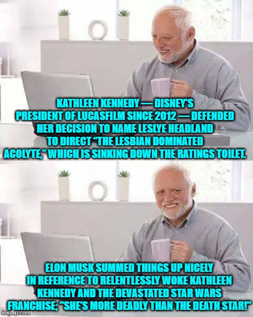 Leftists touch it . . . leftists ruin it. | KATHLEEN KENNEDY — DISNEY'S PRESIDENT OF LUCASFILM SINCE 2012 — DEFENDED HER DECISION TO NAME LESLYE HEADLAND TO DIRECT “THE LESBIAN DOMINATED ACOLYTE,” WHICH IS SINKING DOWN THE RATINGS TOILET. ELON MUSK SUMMED THINGS UP NICELY IN REFERENCE TO RELENTLESSLY WOKE KATHLEEN KENNEDY AND THE DEVASTATED STAR WARS FRANCHISE; "SHE’S MORE DEADLY THAN THE DEATH STAR!" | image tagged in hide the pain harold | made w/ Imgflip meme maker