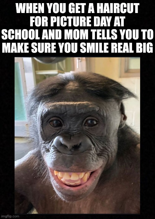 4th grade picture | WHEN YOU GET A HAIRCUT FOR PICTURE DAY AT SCHOOL AND MOM TELLS YOU TO MAKE SURE YOU SMILE REAL BIG | image tagged in school memes,pictures,funny picture,haircut,funny haircut,monkey | made w/ Imgflip meme maker