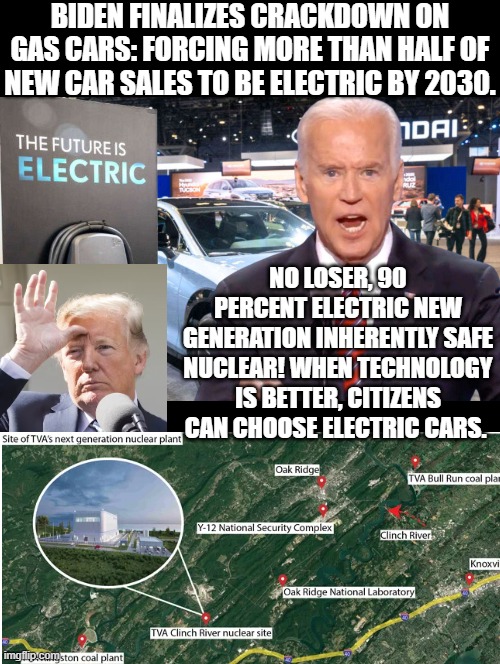No Loser! | BIDEN FINALIZES CRACKDOWN ON GAS CARS: FORCING MORE THAN HALF OF NEW CAR SALES TO BE ELECTRIC BY 2030. NO LOSER, 90 PERCENT ELECTRIC NEW GENERATION INHERENTLY SAFE NUCLEAR! WHEN TECHNOLOGY IS BETTER, CITIZENS CAN CHOOSE ELECTRIC CARS. | image tagged in loser,special kind of stupid | made w/ Imgflip meme maker