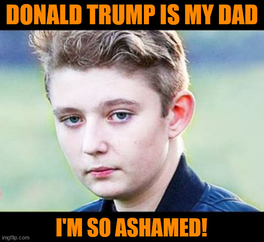 For SHAME | DONALD TRUMP IS MY DAD; I'M SO ASHAMED! | image tagged in barron trump,mama's boy,safe from kidnapping,maga matenity,runaway,seek help | made w/ Imgflip meme maker