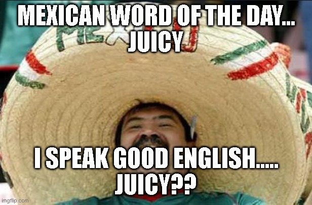 mexican word of the day | MEXICAN WORD OF THE DAY...
JUICY; I SPEAK GOOD ENGLISH.....
JUICY?? | image tagged in mexican word of the day,funny memes,funny meme,lol | made w/ Imgflip meme maker