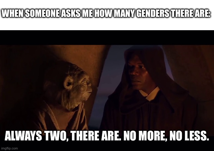 The truth, Yoda speaks | WHEN SOMEONE ASKS ME HOW MANY GENDERS THERE ARE:; ALWAYS TWO, THERE ARE. NO MORE, NO LESS. | image tagged in yoda | made w/ Imgflip meme maker