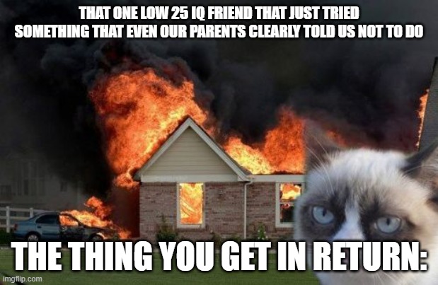 that one -25 iq friend | THAT ONE LOW 25 IQ FRIEND THAT JUST TRIED SOMETHING THAT EVEN OUR PARENTS CLEARLY TOLD US NOT TO DO; THE THING YOU GET IN RETURN: | image tagged in memes,burn kitty,grumpy cat | made w/ Imgflip meme maker