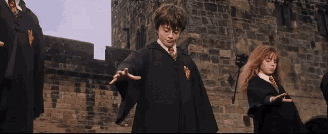 Harry Potter up Blank Meme Template