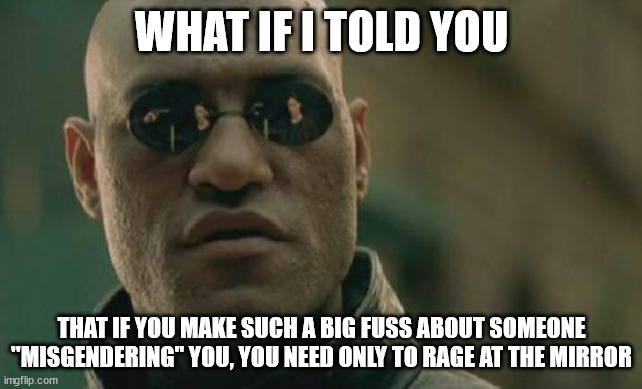 A young mother and her 18 month-old child recently got kicked off a United Airlines flight because of this | WHAT IF I TOLD YOU; THAT IF YOU MAKE SUCH A BIG FUSS ABOUT SOMEONE "MISGENDERING" YOU, YOU NEED ONLY TO RAGE AT THE MIRROR | image tagged in memes,matrix morpheus | made w/ Imgflip meme maker