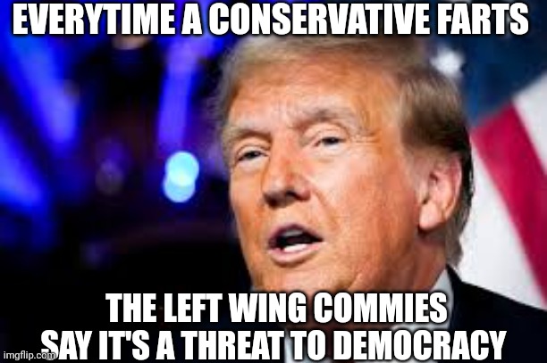 Donald Trump | EVERYTIME A CONSERVATIVE FARTS; THE LEFT WING COMMIES SAY IT'S A THREAT TO DEMOCRACY | image tagged in threat | made w/ Imgflip meme maker