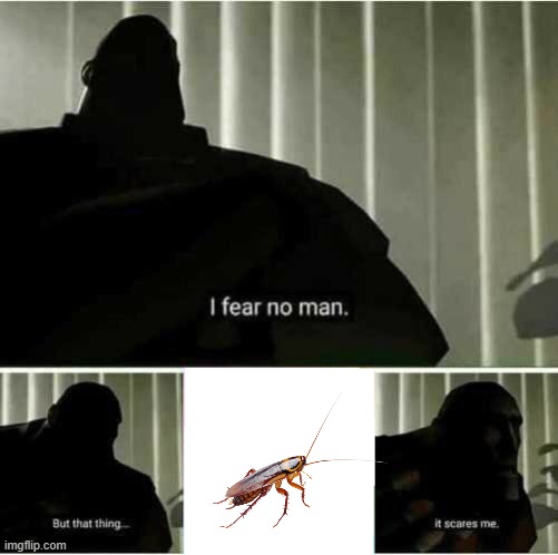 cockroach | image tagged in i fear no man | made w/ Imgflip meme maker