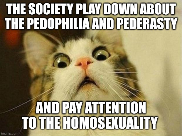 Homosexuality | THE SOCIETY PLAY DOWN ABOUT THE PEDOPHILIA AND PEDERASTY; AND PAY ATTENTION TO THE HOMOSEXUALITY | image tagged in memes,scared cat | made w/ Imgflip meme maker