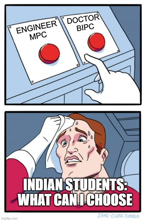 Two Buttons Meme | DOCTOR
 BIPC; ENGINEER
 MPC; INDIAN STUDENTS:
WHAT CAN I CHOOSE | image tagged in memes,two buttons | made w/ Imgflip meme maker