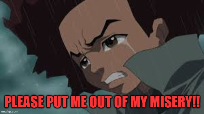 anyone want to put a caption? | PLEASE PUT ME OUT OF MY MISERY!! | image tagged in the boondocks,huey,crying | made w/ Imgflip meme maker