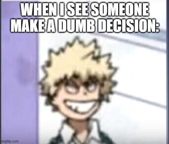 Meme | WHEN I SEE SOMEONE MAKE A DUMB DECISION: | image tagged in bakugo sero smile | made w/ Imgflip meme maker