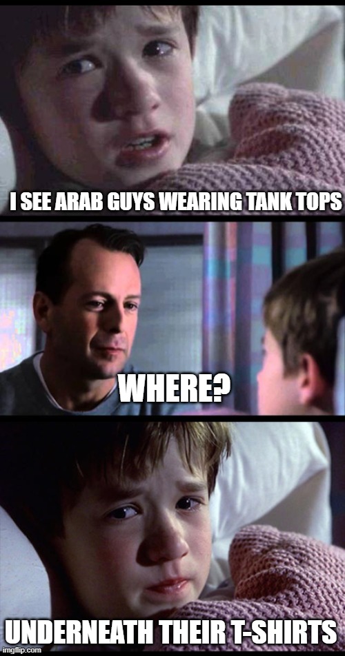 tank tops | I SEE ARAB GUYS WEARING TANK TOPS; WHERE? UNDERNEATH THEIR T-SHIRTS | image tagged in i see dead people 3-frame | made w/ Imgflip meme maker