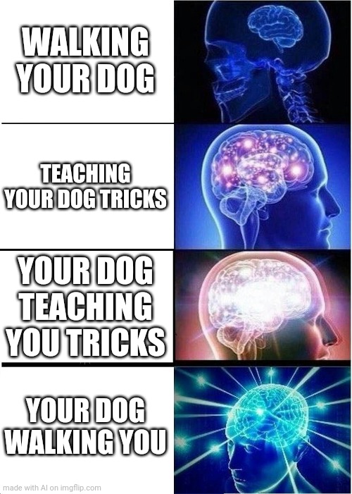 Expanding Brain | WALKING YOUR DOG; TEACHING YOUR DOG TRICKS; YOUR DOG TEACHING YOU TRICKS; YOUR DOG WALKING YOU | image tagged in memes,expanding brain | made w/ Imgflip meme maker