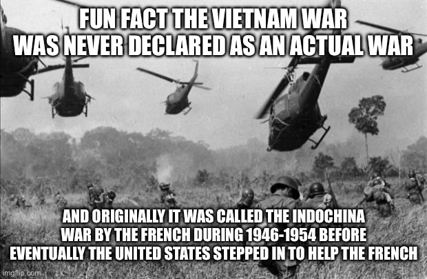 Yet we still “lost” | FUN FACT THE VIETNAM WAR WAS NEVER DECLARED AS AN ACTUAL WAR; AND ORIGINALLY IT WAS CALLED THE INDOCHINA WAR BY THE FRENCH DURING 1946-1954 BEFORE EVENTUALLY THE UNITED STATES STEPPED IN TO HELP THE FRENCH | image tagged in tree,vietcong | made w/ Imgflip meme maker