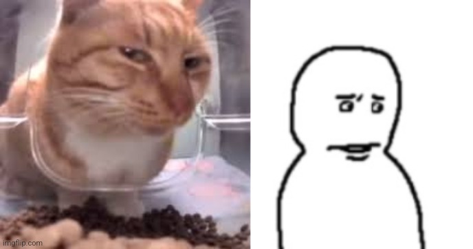 image tagged in mr fresh,bro visited his friend last panel | made w/ Imgflip meme maker