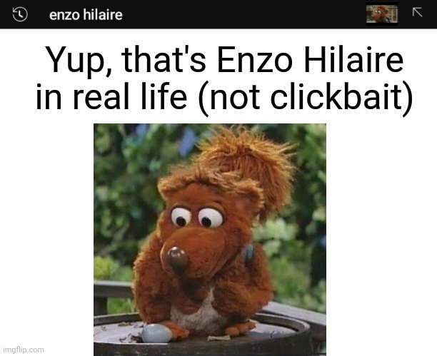 Yes, that's how Enzo Hilaire looks like according to YouTube | Yup, that's Enzo Hilaire in real life (not clickbait) | image tagged in blank white template,funny,youtube,barney,squirrel | made w/ Imgflip meme maker