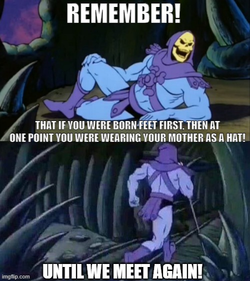 Nice hat | REMEMBER! THAT IF YOU WERE BORN FEET FIRST, THEN AT ONE POINT YOU WERE WEARING YOUR MOTHER AS A HAT! UNTIL WE MEET AGAIN! | image tagged in skeletor disturbing facts,remember | made w/ Imgflip meme maker