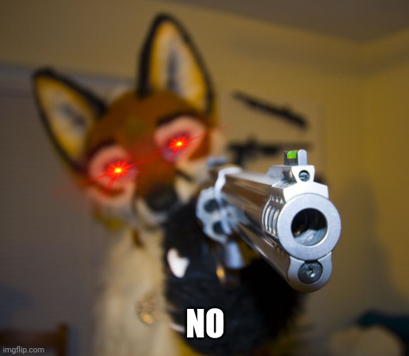 Furry with gun | NO | image tagged in furry with gun | made w/ Imgflip meme maker