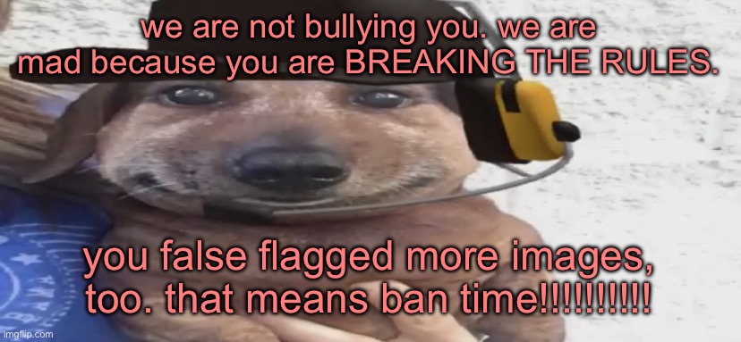 chucklenuts | we are not bullying you. we are mad because you are BREAKING THE RULES. you false flagged more images, too. that means ban time!!!!!!!!!! | image tagged in chucklenuts | made w/ Imgflip meme maker