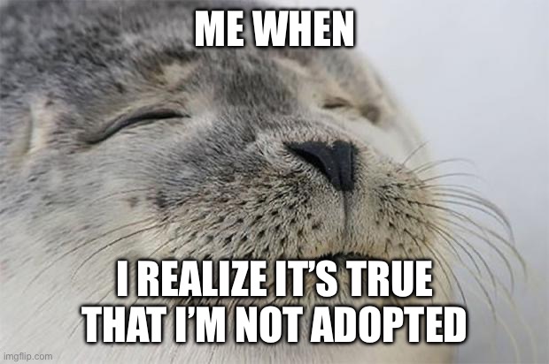 Satisfied Seal Meme | ME WHEN; I REALIZE IT’S TRUE THAT I’M NOT ADOPTED | image tagged in memes,satisfied seal | made w/ Imgflip meme maker