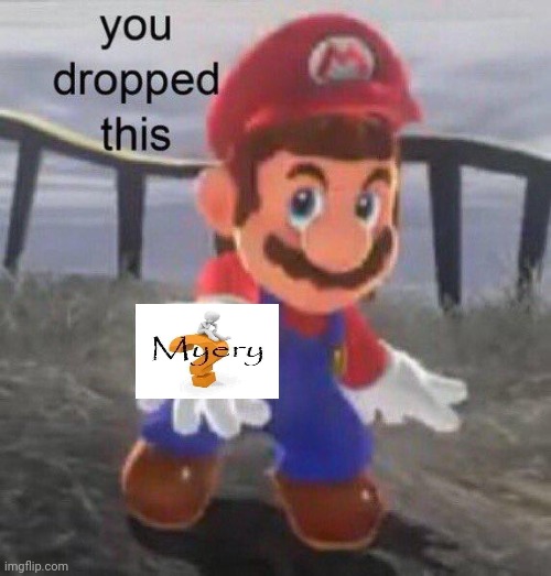 Mario You dropped this | image tagged in mario you dropped this | made w/ Imgflip meme maker