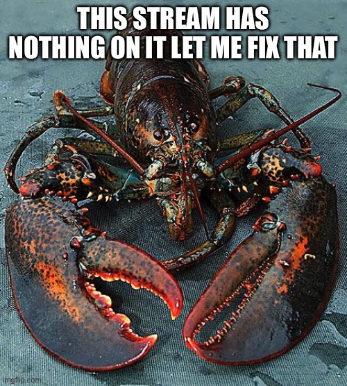 Lobster | THIS STREAM HAS NOTHING ON IT LET ME FIX THAT | image tagged in lobster | made w/ Imgflip meme maker