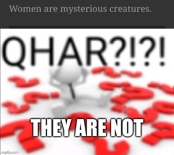 Women are people | THEY ARE NOT | image tagged in qhar | made w/ Imgflip meme maker