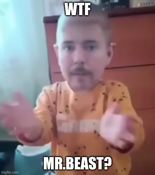 Uhh, Mr.Beast?? | WTF; MR.BEAST? | image tagged in mr beast,memes | made w/ Imgflip meme maker