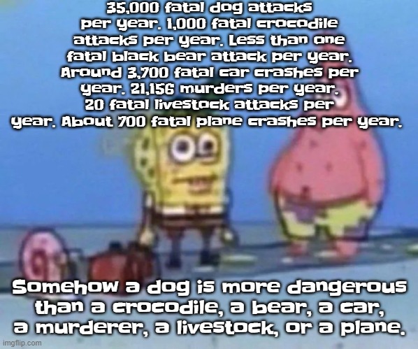 sponge and pat | 35,000 fatal dog attacks per year. 1,000 fatal crocodile attacks per year. Less than one fatal black bear attack per year. Around 3,700 fatal car crashes per year. 21,156 murders per year. 20 fatal livestock attacks per year. About 700 fatal plane crashes per year. Somehow a dog is more dangerous than a crocodile, a bear, a car, a murderer, a livestock, or a plane. | image tagged in sponge and pat | made w/ Imgflip meme maker