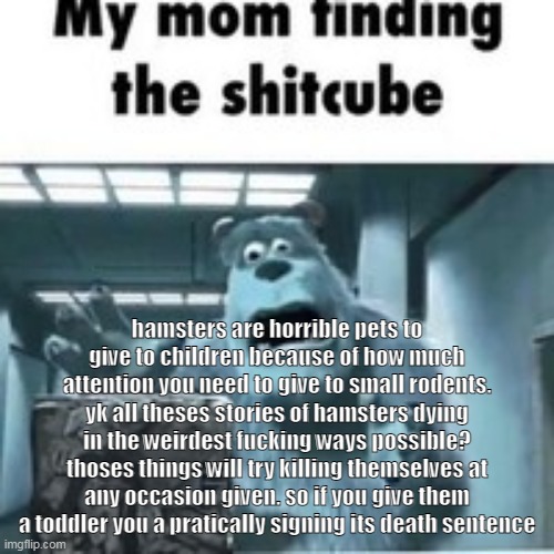 rodents love chewing electric cables rodents love drinking the weird liquid under the sink rodents love to jump off anything rod | hamsters are horrible pets to give to children because of how much attention you need to give to small rodents. yk all theses stories of hamsters dying in the weirdest fucking ways possible? thoses things will try killing themselves at any occasion given. so if you give them a toddler you a pratically signing its death sentence | image tagged in my mom finding the shitcube | made w/ Imgflip meme maker