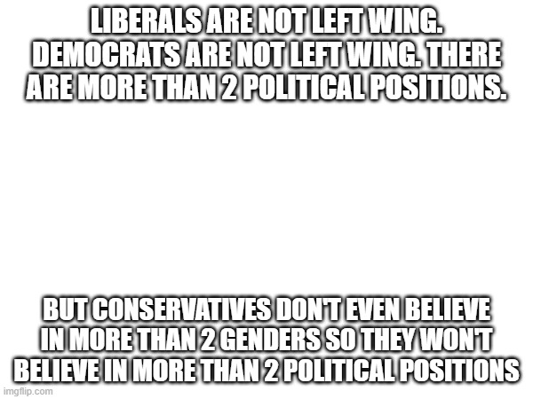 LIBERALS ARE NOT LEFT WING. DEMOCRATS ARE NOT LEFT WING. THERE ARE MORE THAN 2 POLITICAL POSITIONS. BUT CONSERVATIVES DON'T EVEN BELIEVE IN MORE THAN 2 GENDERS SO THEY WON'T BELIEVE IN MORE THAN 2 POLITICAL POSITIONS | image tagged in leftist,liberal,conservative,democrat | made w/ Imgflip meme maker