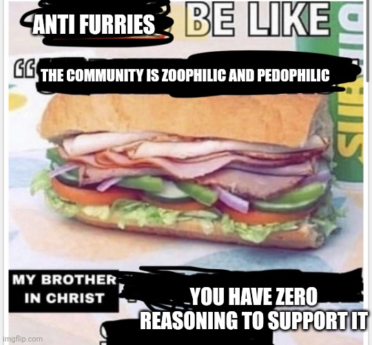 Yeah I know this will cause debates | ANTI FURRIES; THE COMMUNITY IS ZOOPHILIC AND PEDOPHILIC; YOU HAVE ZERO REASONING TO SUPPORT IT | image tagged in my brother in christ subway | made w/ Imgflip meme maker