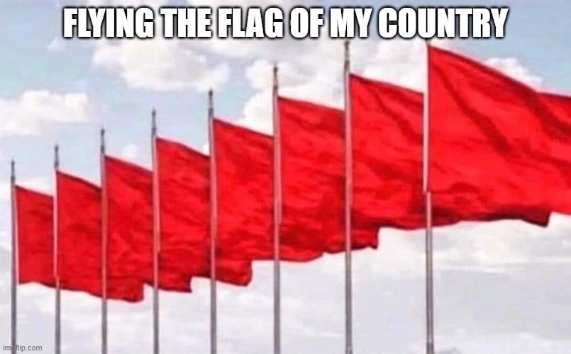 Flying the flag of my country | FLYING THE FLAG OF MY COUNTRY | image tagged in red flag | made w/ Imgflip meme maker