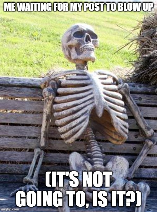 ?? | ME WAITING FOR MY POST TO BLOW UP; (IT'S NOT GOING TO, IS IT?) | image tagged in memes,waiting skeleton | made w/ Imgflip meme maker