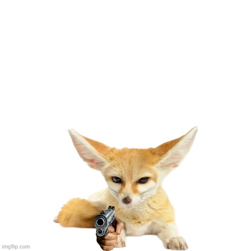image tagged in transparent fennec fox | made w/ Imgflip meme maker