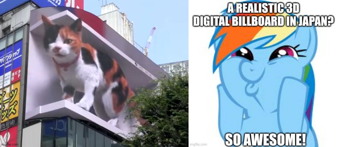 image tagged in my little pony friendship is magic,japan,rainbow dash,so awesome,screenshot,cats | made w/ Imgflip meme maker