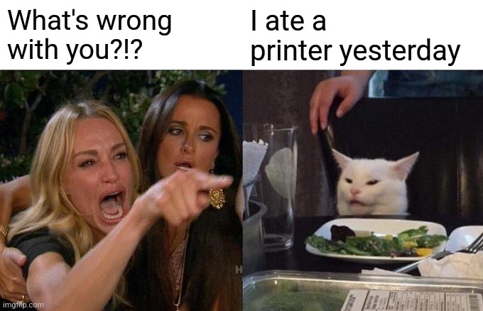 You ate a what yesterday?!? | What's wrong with you?!? I ate a printer yesterday | image tagged in memes,woman yelling at cat,funny memes,jpfan102504 | made w/ Imgflip meme maker