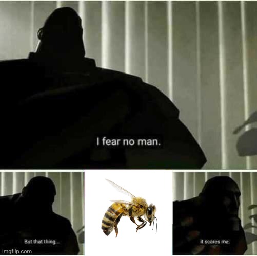 I fear no man | image tagged in i fear no man | made w/ Imgflip meme maker