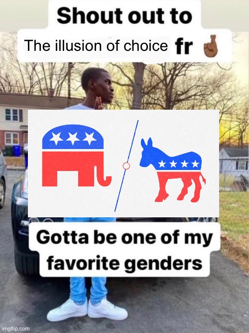 Shout out to.... Gotta be one of my favorite genders | The illusion of choice | image tagged in shout out to gotta be one of my favorite genders,memes,political meme,leftists,shitpost,humor | made w/ Imgflip meme maker