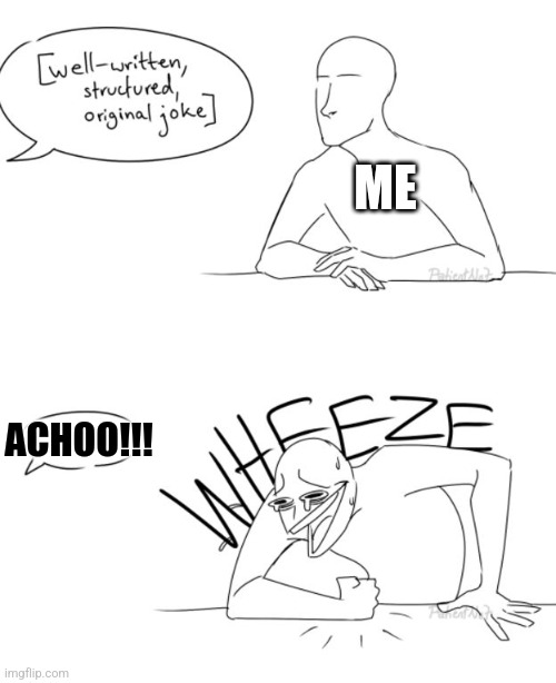 I've always found sneezes to be hilarious | ME; ACHOO!!! | image tagged in wheeze,jpfan102504 | made w/ Imgflip meme maker