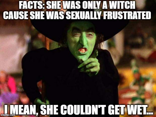 No Wet | FACTS: SHE WAS ONLY A WITCH CAUSE SHE WAS SEXUALLY FRUSTRATED; I MEAN, SHE COULDN'T GET WET... | image tagged in wicked witch | made w/ Imgflip meme maker
