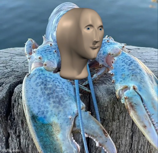 The Blue Lobster | image tagged in the blue lobster | made w/ Imgflip meme maker