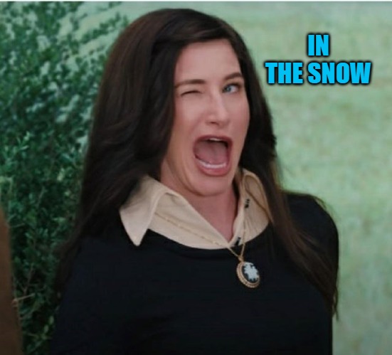 IN THE SNOW | image tagged in wink wink | made w/ Imgflip meme maker