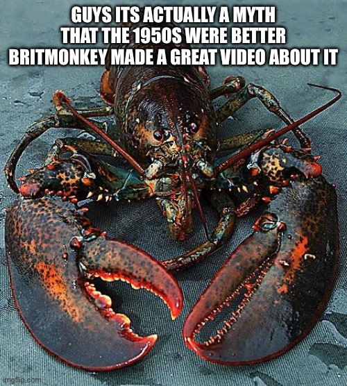 Lobster | GUYS ITS ACTUALLY A MYTH THAT THE 1950S WERE BETTER BRITMONKEY MADE A GREAT VIDEO ABOUT IT | image tagged in lobster | made w/ Imgflip meme maker