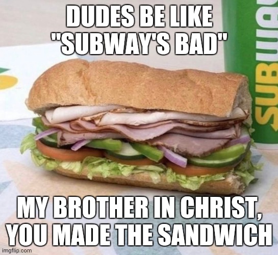 Bro | DUDES BE LIKE "SUBWAY'S BAD"; MY BROTHER IN CHRIST, YOU MADE THE SANDWICH | image tagged in subway sandwich | made w/ Imgflip meme maker