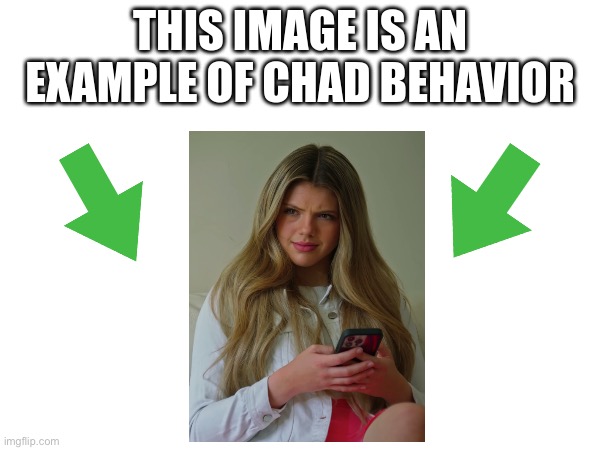 image tagged in this image is an example of chad behavior | made w/ Imgflip meme maker